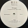 画像2: Shaggy / Angel - The Recommandable 2000's R&B , Reggae - US Press  (2)