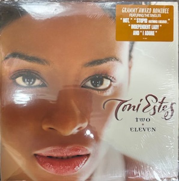画像1: Toni Estes / Tow Eleven - LP - inc Guy Cover of Let's Chill (1)
