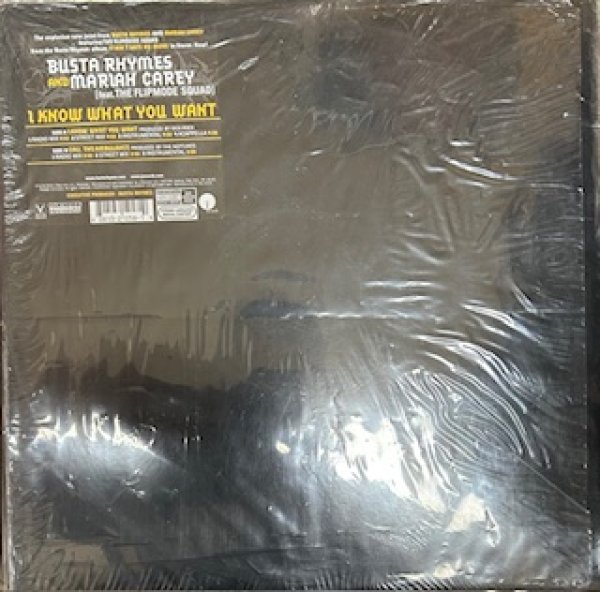 画像1: Busta Rhymes And Mariah Carey / I Know What You Want - The Recommandable 2000's US R&B - (1)