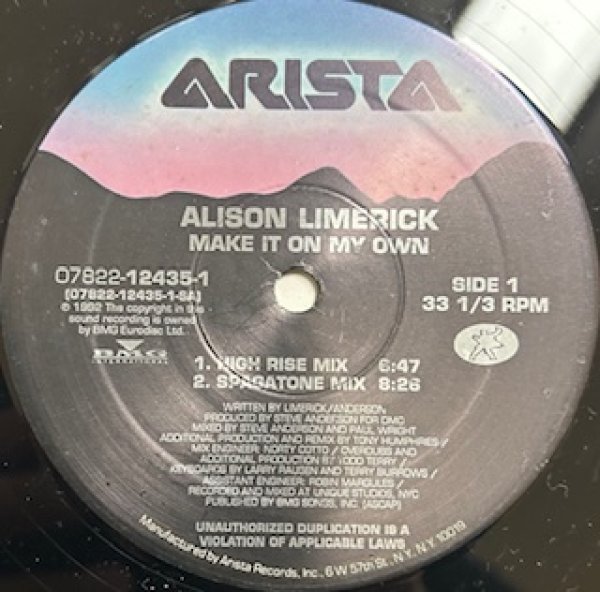 画像1: Alison Limerick / Make It On My Own - US Press - (1)
