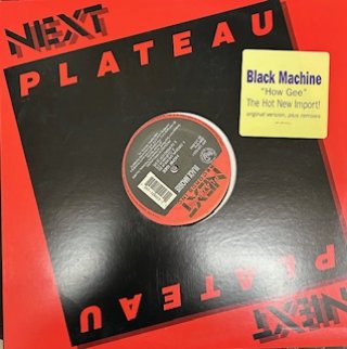 レゲエ　2000年以降　ラバーズ　ミディアム　ラスタ　70枚セット Jazzy - LotRecords