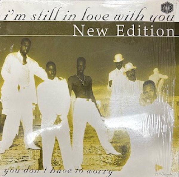 画像1: New Edition / I'm Still In Love With You Cw You Don't Have To Worry - The Recommandable 90's US R&B - (1)