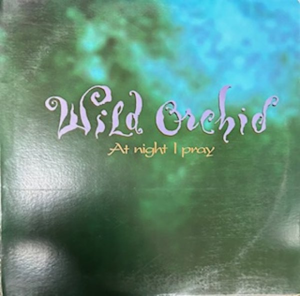画像1: Wild Orchid / At Night I Play - The Recommandable US R&B - (1)
