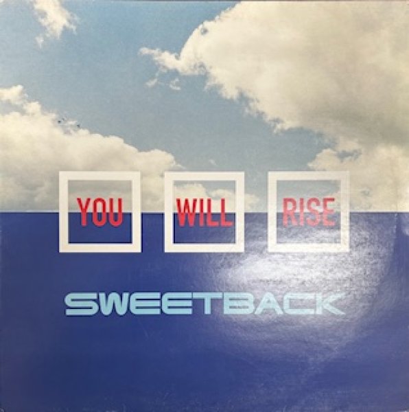 画像1: Sweet Back / You Will Rise - The Recommandable 90's UK R&B - UK Only Driza Bone Mix (1)