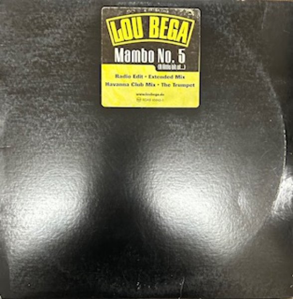 画像1: Lou Bega / Mambo No 5 -  The Recommandable 90's R&B - US Press The Recommandable Nice Cover !!!  (1)
