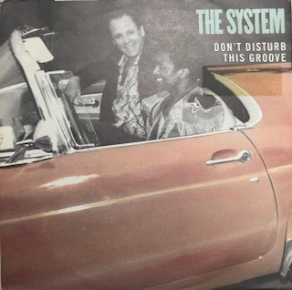 画像1: The System / Don't Disturb This Is Groove cw Modern Girl - Sampling Source 7 Inch - (1)