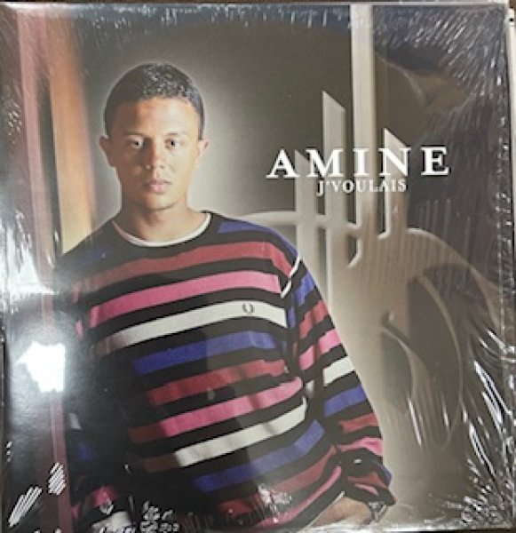 画像1: Amine / J'Voulais - The Recommandable 90's EU R&B - ADM BEAT!!! (1)