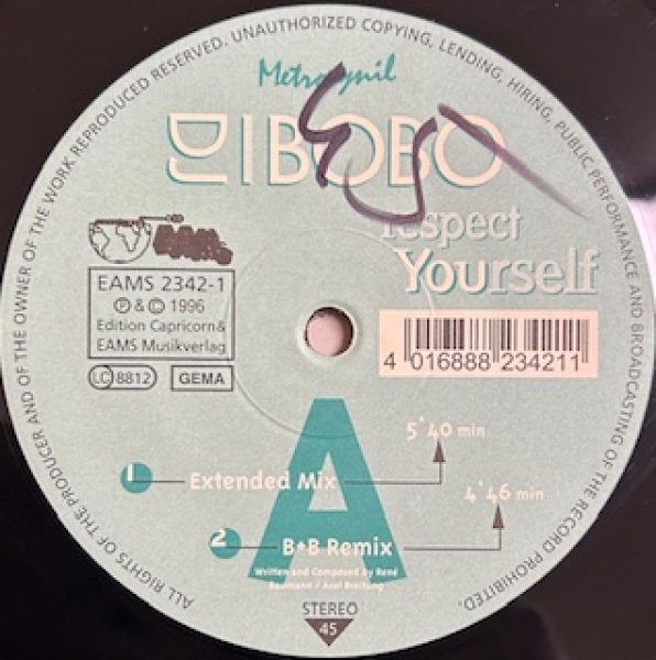 画像1: DJ BOBO / Respect Yourself - The Recommandable 90's EU R&B - Rob 'N' Raz Remix !!! (1)