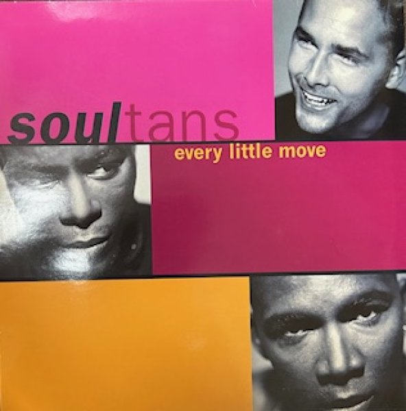 画像1: Soultans / Every Little Move - The Recommandable 90's EU R&B -  (1)