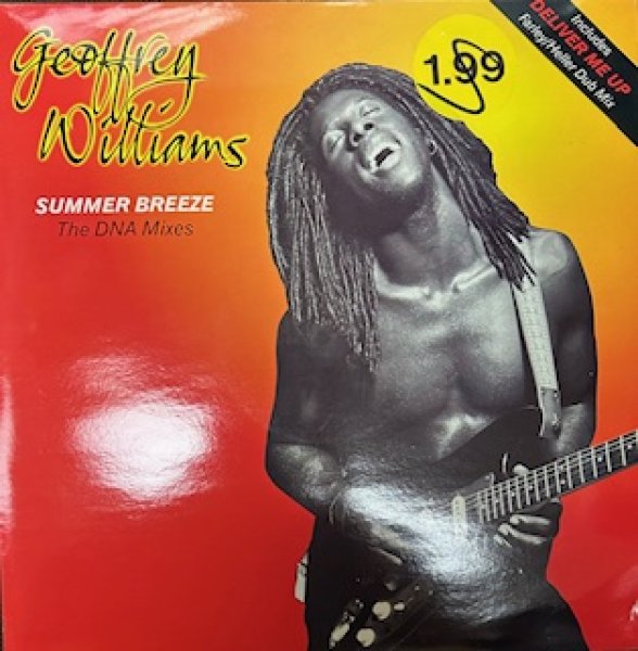 画像1: Geoffrey Williams / Summer Breeze - The Recommandable The DNA Mixes !!!!! - (1)