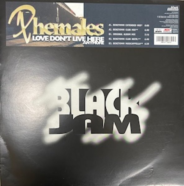 画像1: Phemales / Love Don't Live Here Anymore  - The Recommandable EU Gangsta Cover !!! -  (1)