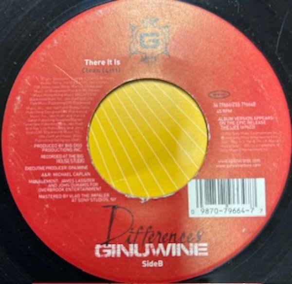 画像1: Ginuwine / Differences - Classic 2000's R&B Rare 7 Inch - (1)
