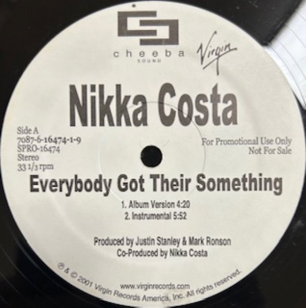 画像1: Nikka Costa / Everybody Got Their Something - The Recommandable Neo Soul!!! - US Promo Only (1)