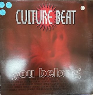 90's House - LotRecords