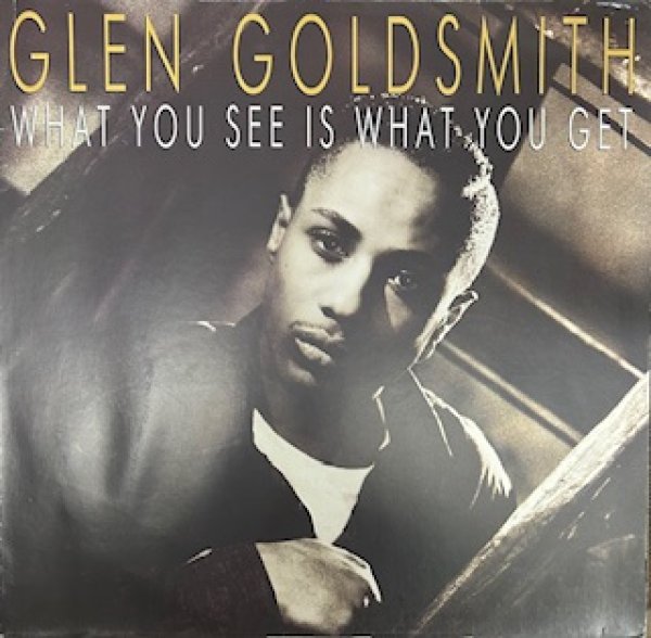 画像1: Glen Gold Smith / What You See What You Get - The Recommandable 90's R&B , New Jack Swing LP - (1)