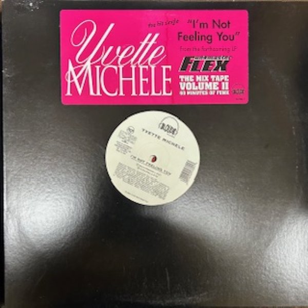 画像1: Yvette Michele / I'm Not Feeling You - The Recommandable 90's R&B - (1)