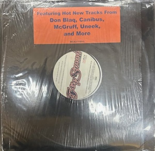 画像1: Flip Squad / All Star DJS - The Recommandable 90's US R&B RAP LP -  Inc. Biz & Candy (1)