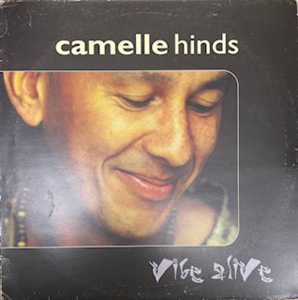 画像1: Camelle Hinds / Vibe Alive - The Recommendable LP  - (1)