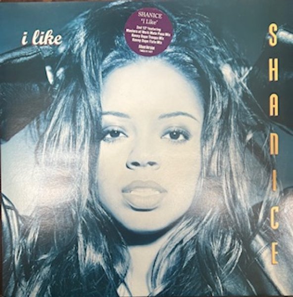 画像1: Shanice / I Like - The Recommandable UK R&B - Kenny Dope Flute Mix (1)