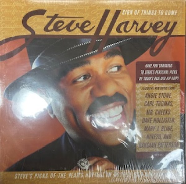 画像1: Steve Harvey / Sign Of Things To Come  - The Recommandable 2000's US R&B LP -  (1)
