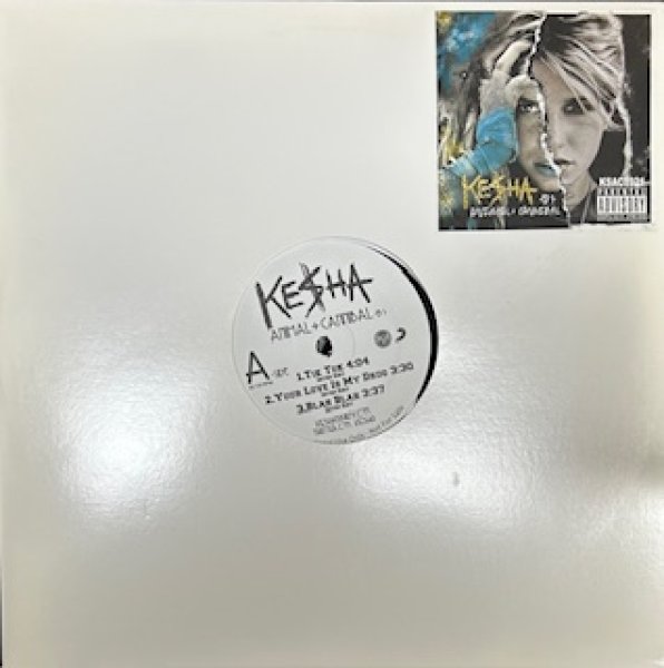画像1: Kesha / Animal Cannibal - The Recommandable Bootleg EP - (1)