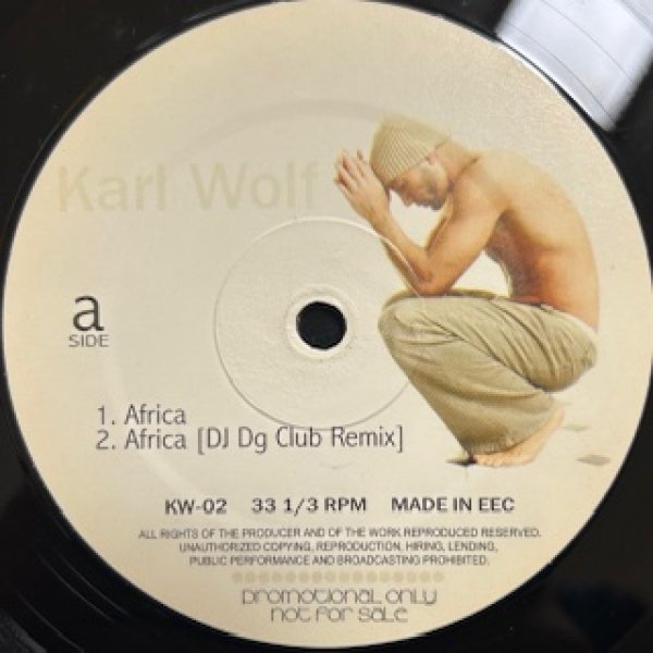 画像1: Karf Wolf / Africa , Hollow Girl , Summer Days , Princess - The Recommandable Bootlegs EP - (1)