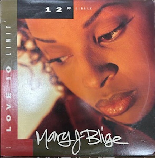 画像1: Mary J Blige / Love No Limit - The Recommandable 90's R&B - US Press (1)