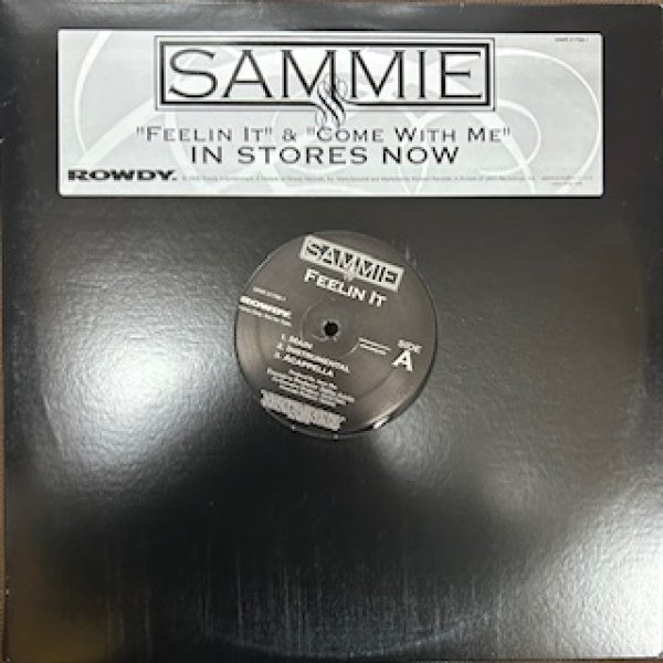 画像1: Sammie / Feelin It Cw Come With Me  - The Recommandable 2000's R&B - US Promo Only (1)