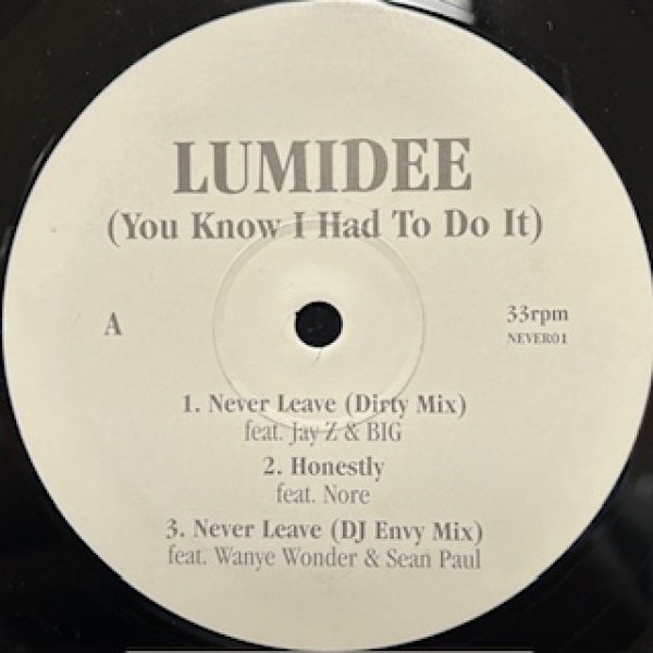 画像1: Lumidee / Never Leave DJ Envy Remix !!!! cw Honestly ft Nore - The Recommandable Exclussive Remix - (1)
