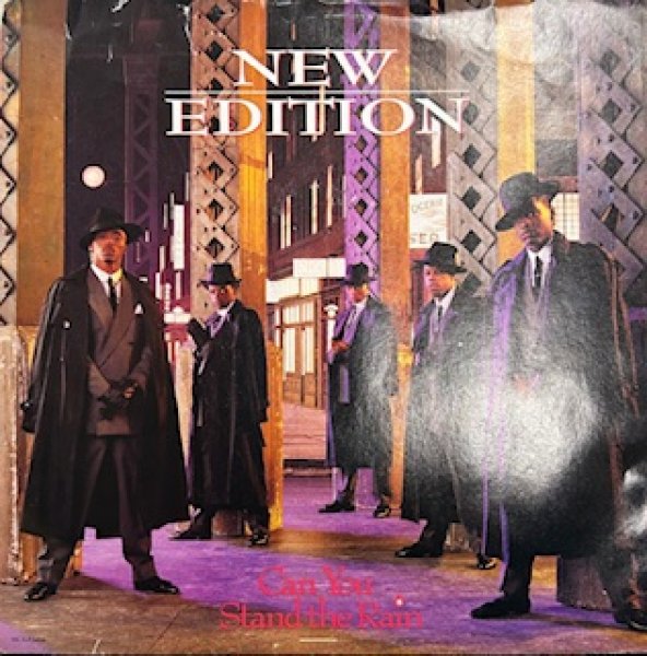 画像1: New Edition / Can You Stand The Rain - The Recommandable US R&B 7 Inch - (1)