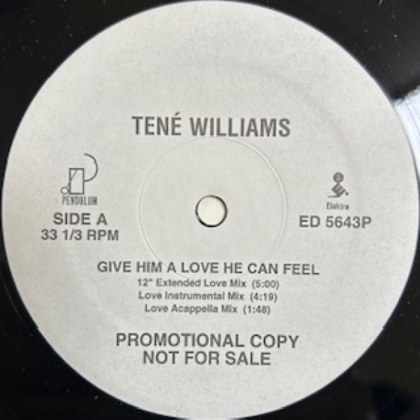 画像1: Tene Williams / Give Him A Love He Can Feel - New Jack Swing - US Promo (1)