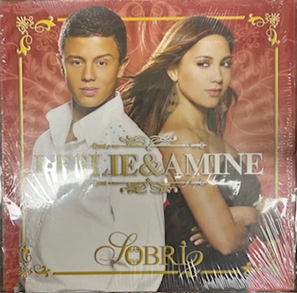 画像1: Leslie & Amine / Sobri 2 - The Recommandable EU R&B - (1)