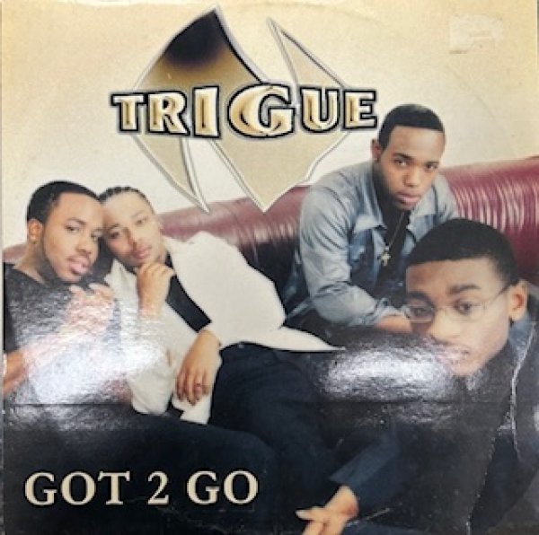 画像1: Trigue / Got 2 Go - The Recommandable EU R&B - Triple D Remix !!! (1)