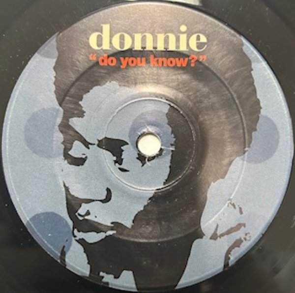 画像1: Donnie / Do You Know  - The Recommandable 2000's US R&B 7 Inch - Neo Soul !!!!! (1)