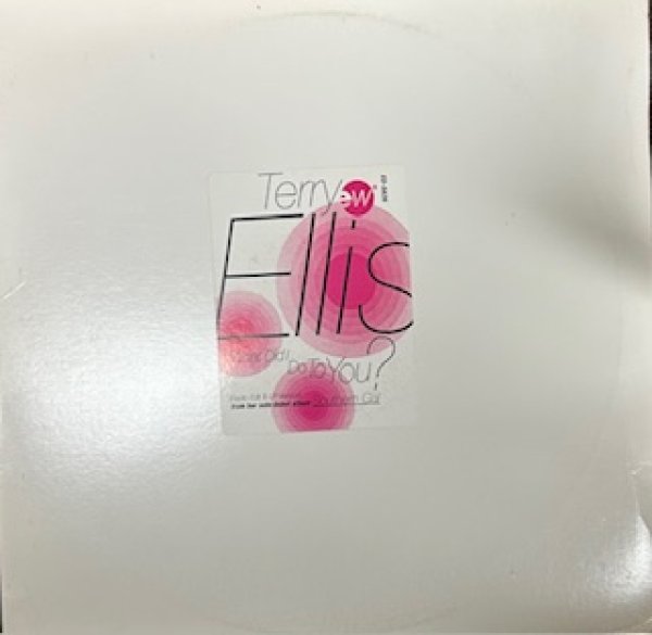 画像1: Terry Ellis / What Did I Do To You ? - The Recommandable 90's R&B - US Promo Only !!!! (1)