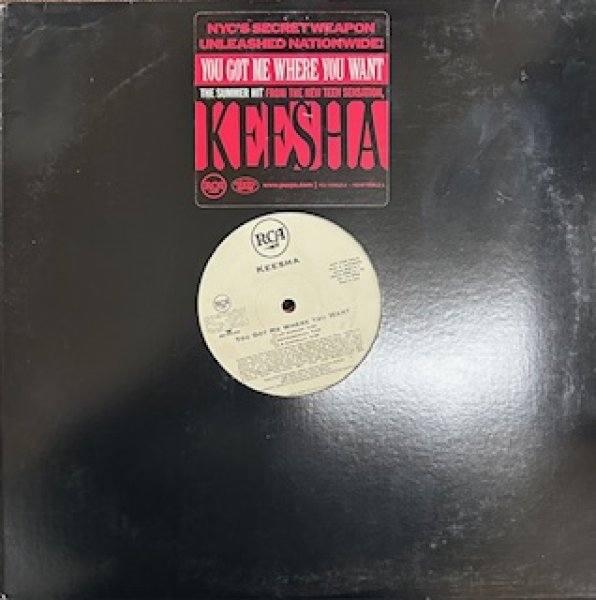 画像1: Keesha / You Got Me Where You Want - The Recommandable 90's R&B - (1)