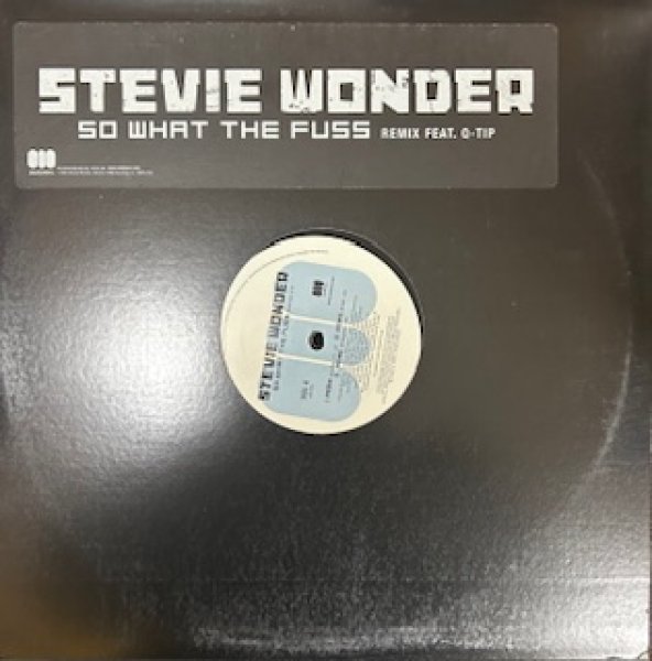 画像1: Stevie Wonder / So What The Fuss - The Recommandable 2000's R&B - Dance Remix (1)