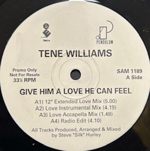 画像1: Tene Williams / Give Him A Love He Can Feel - The Recommandable New Jack Swing - UK Promo!!!!!!!!!!!!!!!!!!!!  (1)