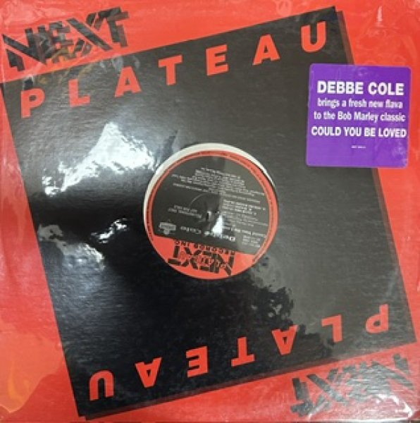 画像1: Debbe Cole / Could You Be Loved? - The Recommendable Bob Marley Cover!!! - (1)