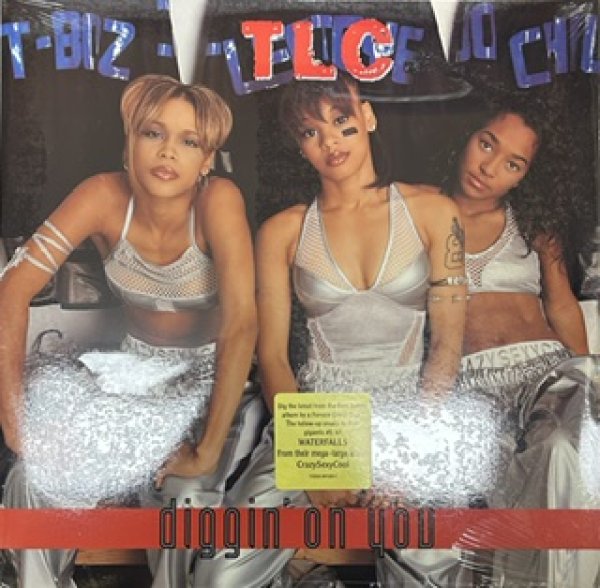 画像1: TLC / Diggin' On You - The Recommandable Item - US Press (1)