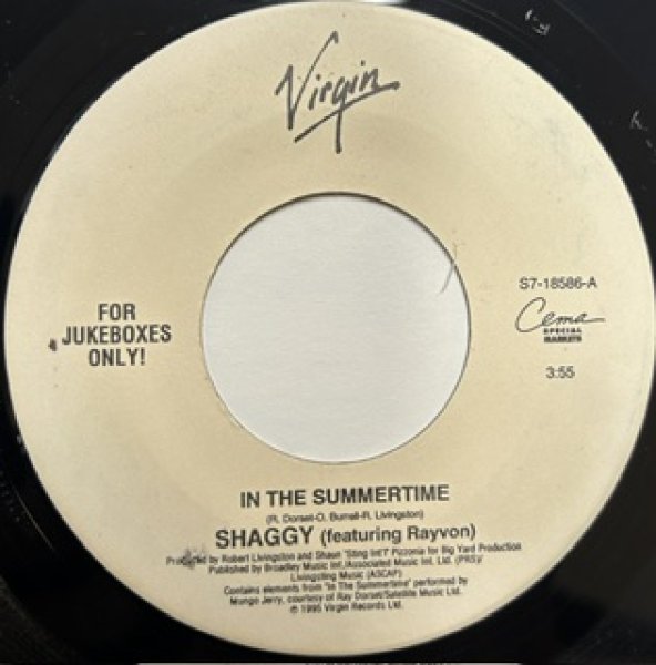 画像1: Shaggy / In The Summertime cw Boombastic - The Recommandable 7 Inch - (1)