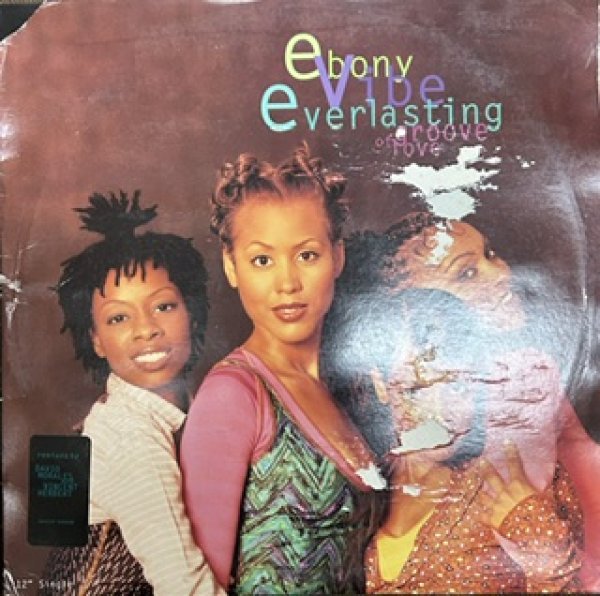 画像1: E.V.E. Ebony Vibe Everlasting / Groove Of Love - The Recommandable 90's R&B - (1)