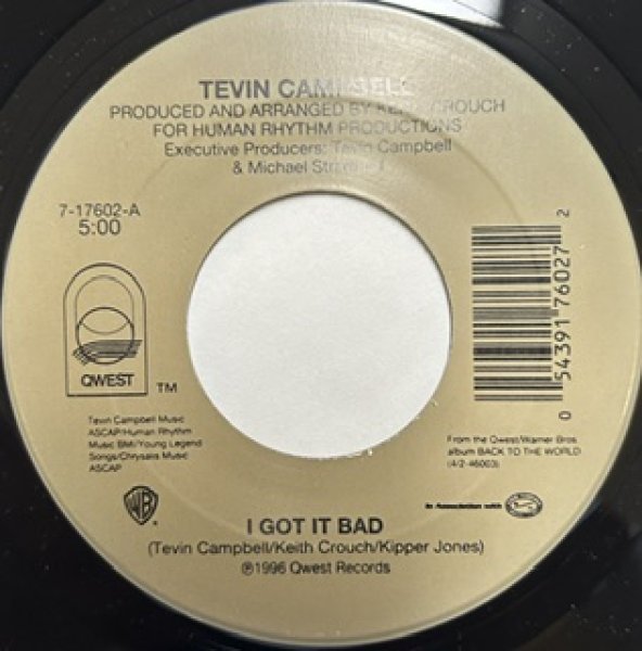 画像1: Tevin Campbell / I Got It Bad cw Back To The World - The Recommandable R&B 7 Inch - (1)