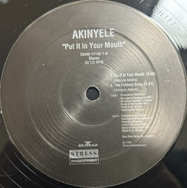 画像1: Akinyele / Put In Your Mouth cw The Robberry Song , In The World , Fuck Me For Free , Thug Shit - The Recommandable 90's US R&B EP - (1)