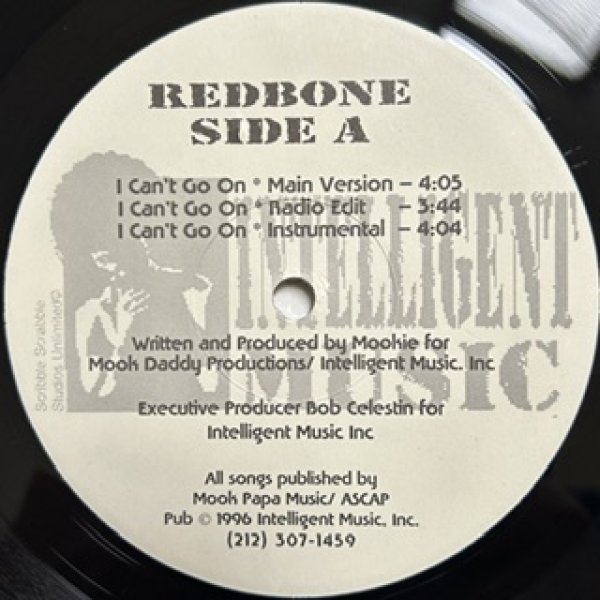 画像1: Shanice / Turn Down The Lights - The Recommandable 90's R&B - US Promo Only Pop Edit & LP Ver !!! (1)