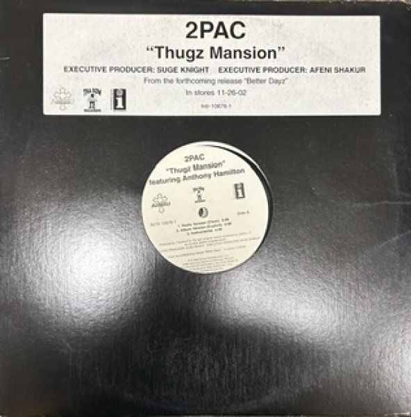 画像1: 2 Pac / Thugz Mansion ft Anthony Hamilton - The Recommandable Gangsta Rap - (1)