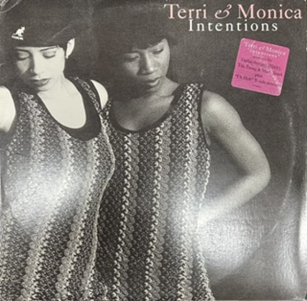 画像1: Terri & Monica / Intentions - The Recommandable 90's R&B - (1)
